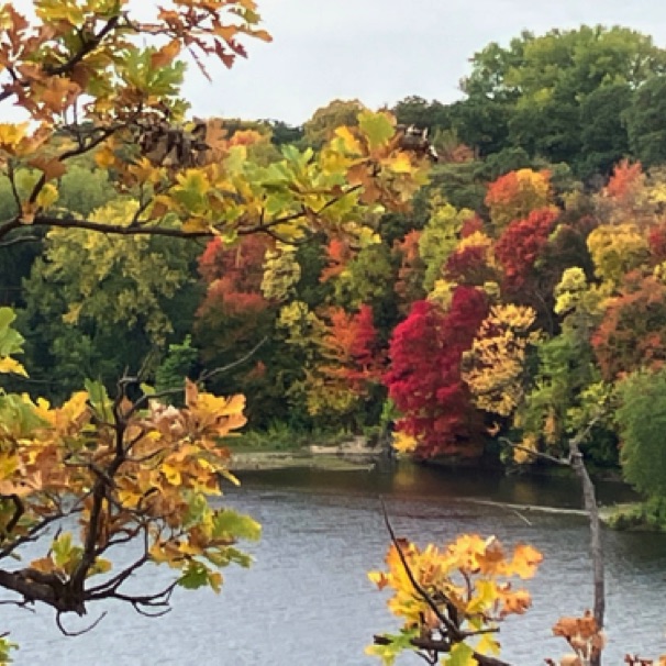 Mississippii River, nr Lake St.